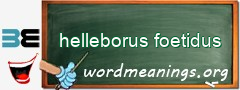 WordMeaning blackboard for helleborus foetidus